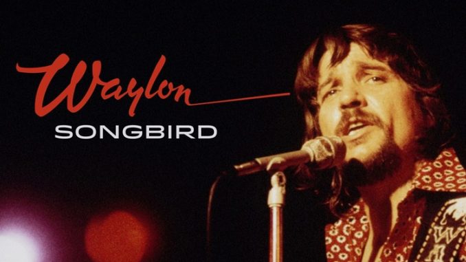 Waylon_songbird